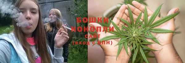 дурь Богданович